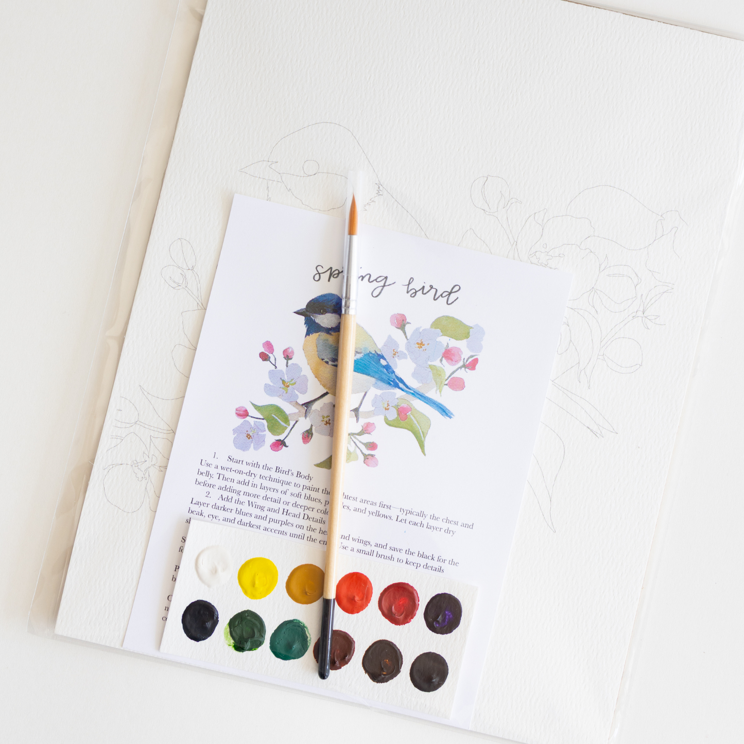 bailey rae studio - Spring bird - watercolor kit