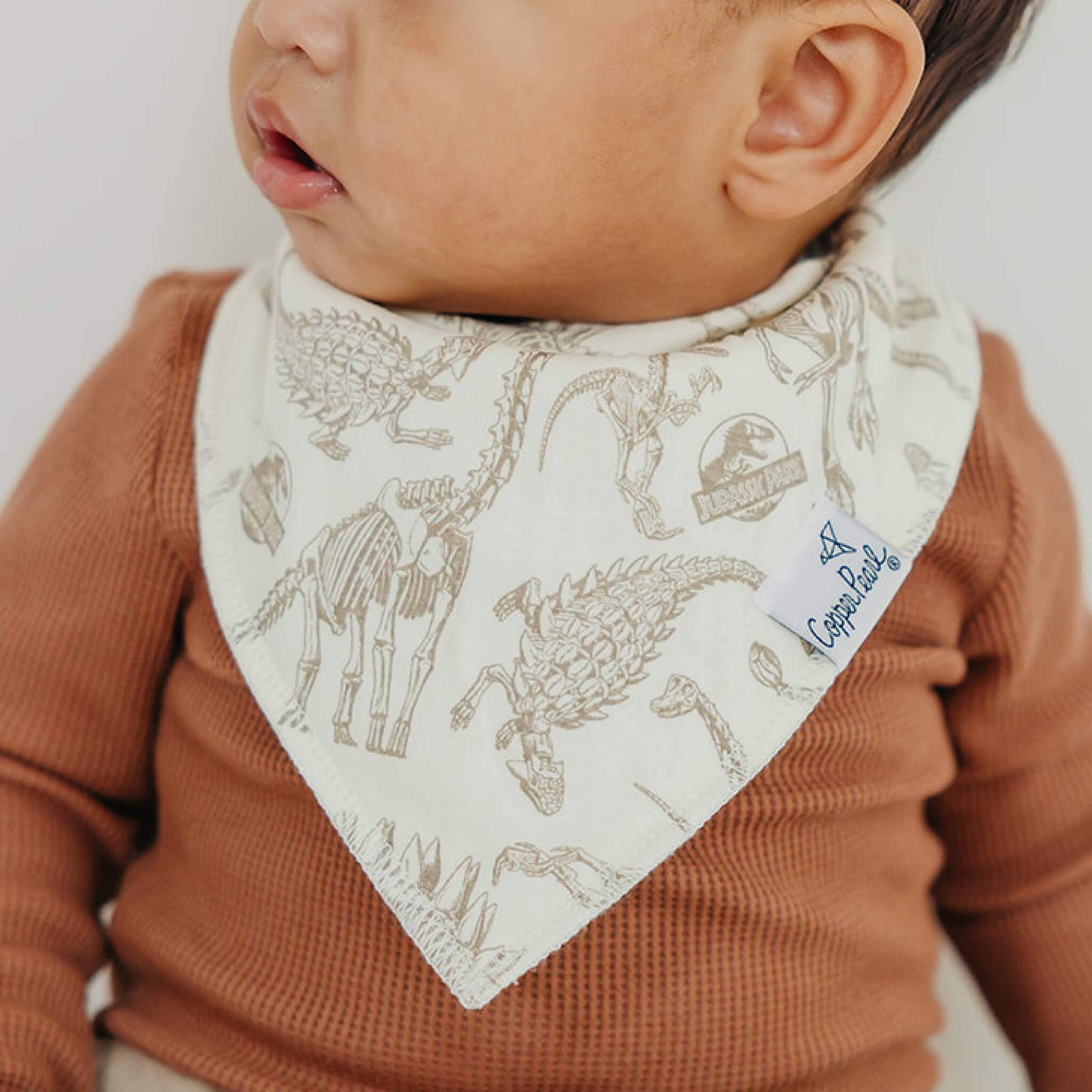 Copper Pearl - 4 Pack Baby Bandana Bibs - Jurassic Park
