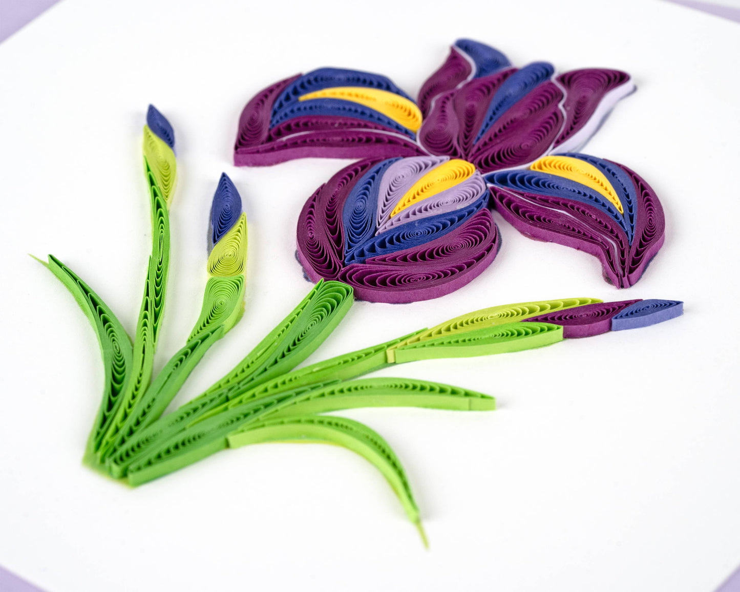 Quilling Card - Quilled Iris Greeting Card