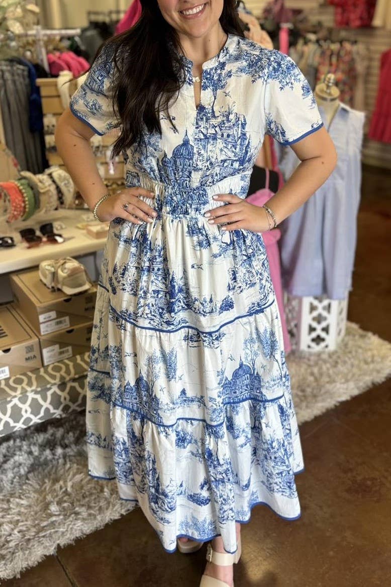 Rosa Clothing - Landscape porcelain Toile print flare maxi dress