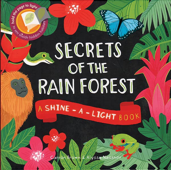 EDC Publishing - Shine-A-Light, Secrets of the Rain Forest