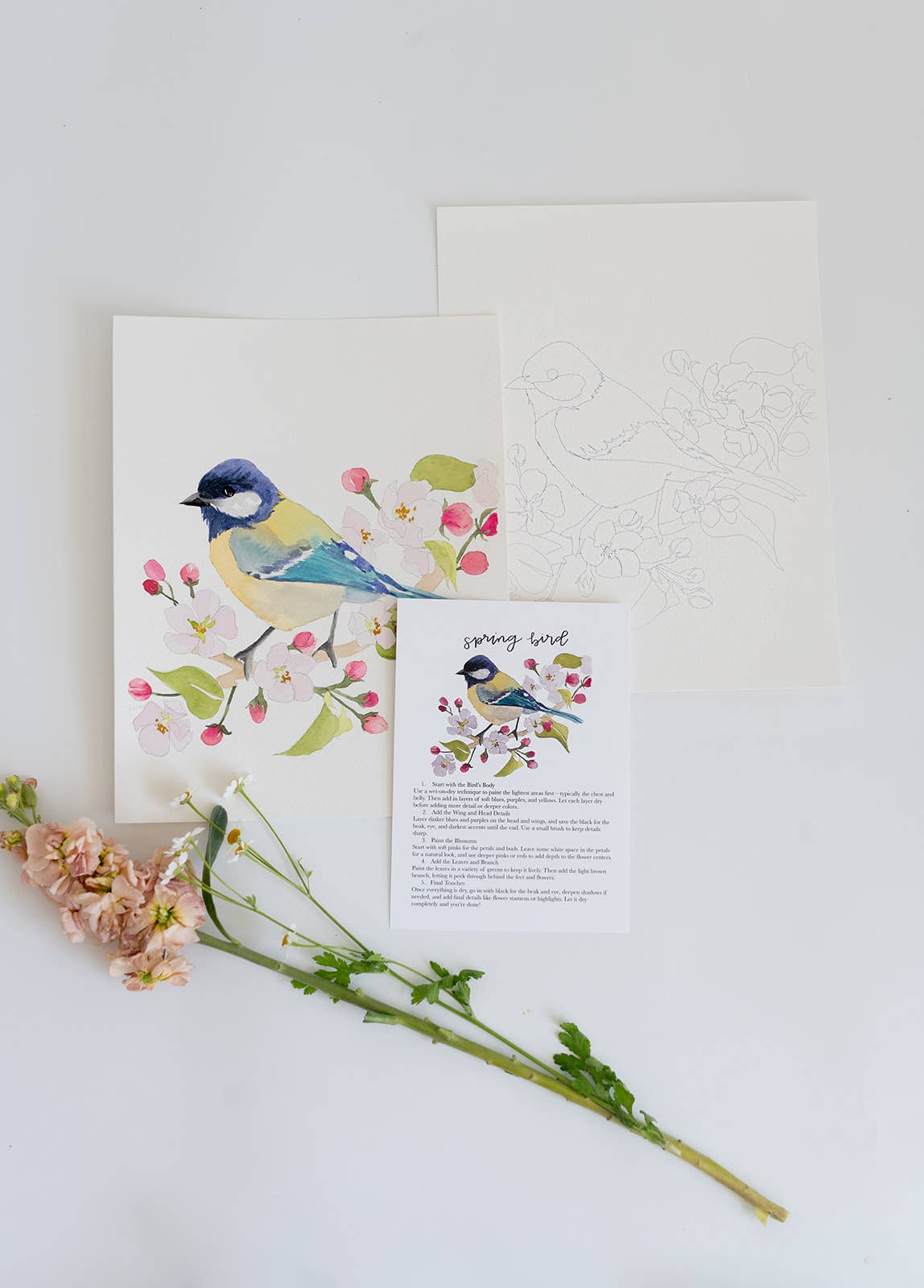 bailey rae studio - Spring bird - watercolor kit
