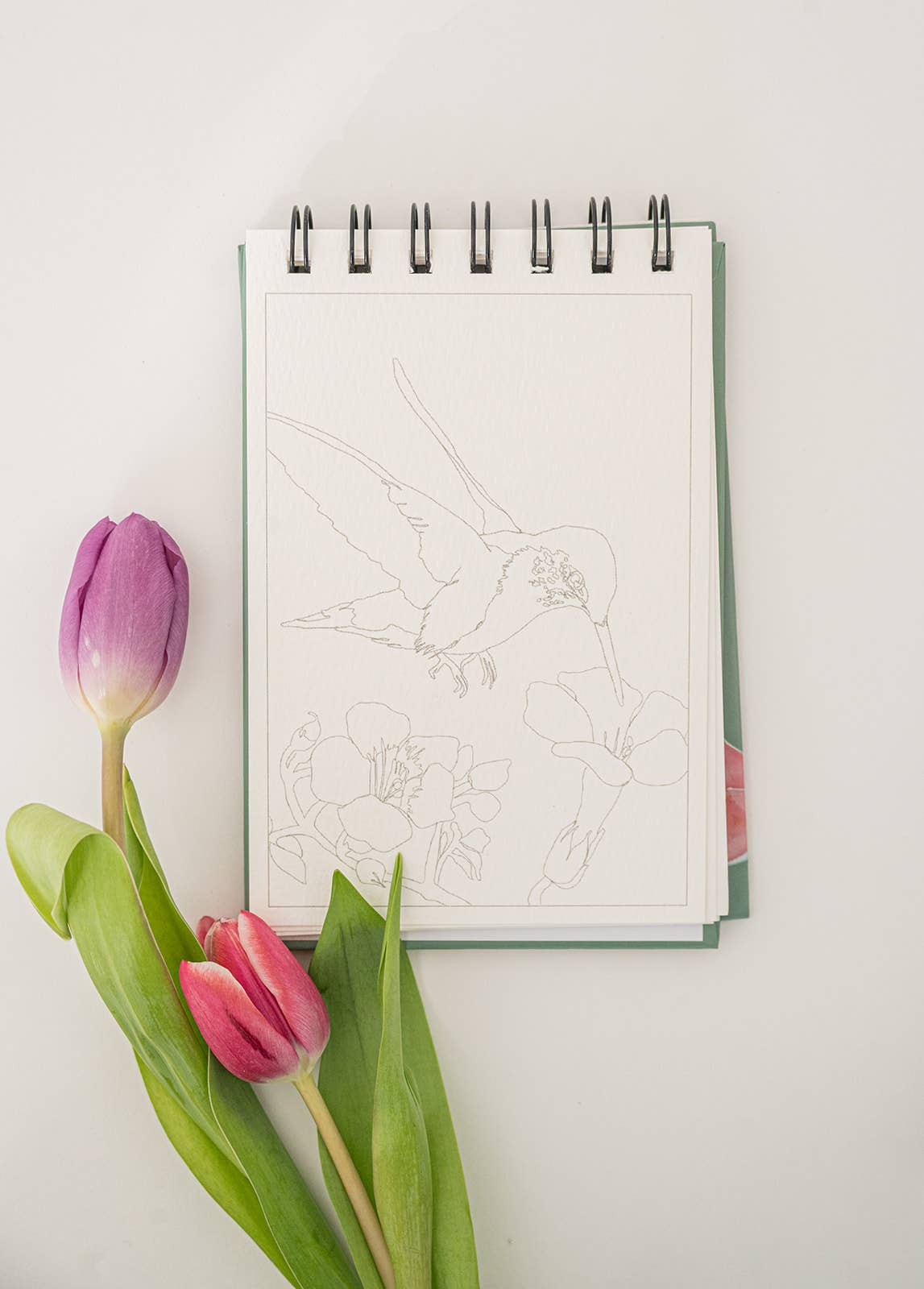 bailey rae studio - A little bit of summer - mini watercoloring book