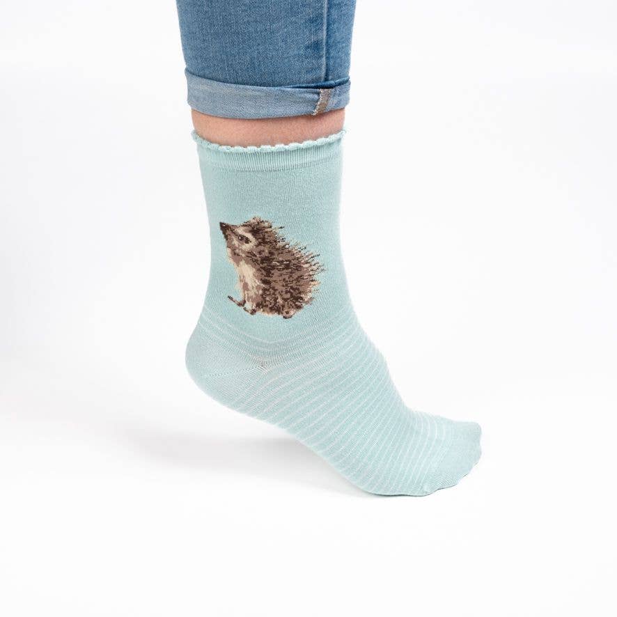 Wrendale Designs - Hedgehog Sock - Hedgehugs - Green