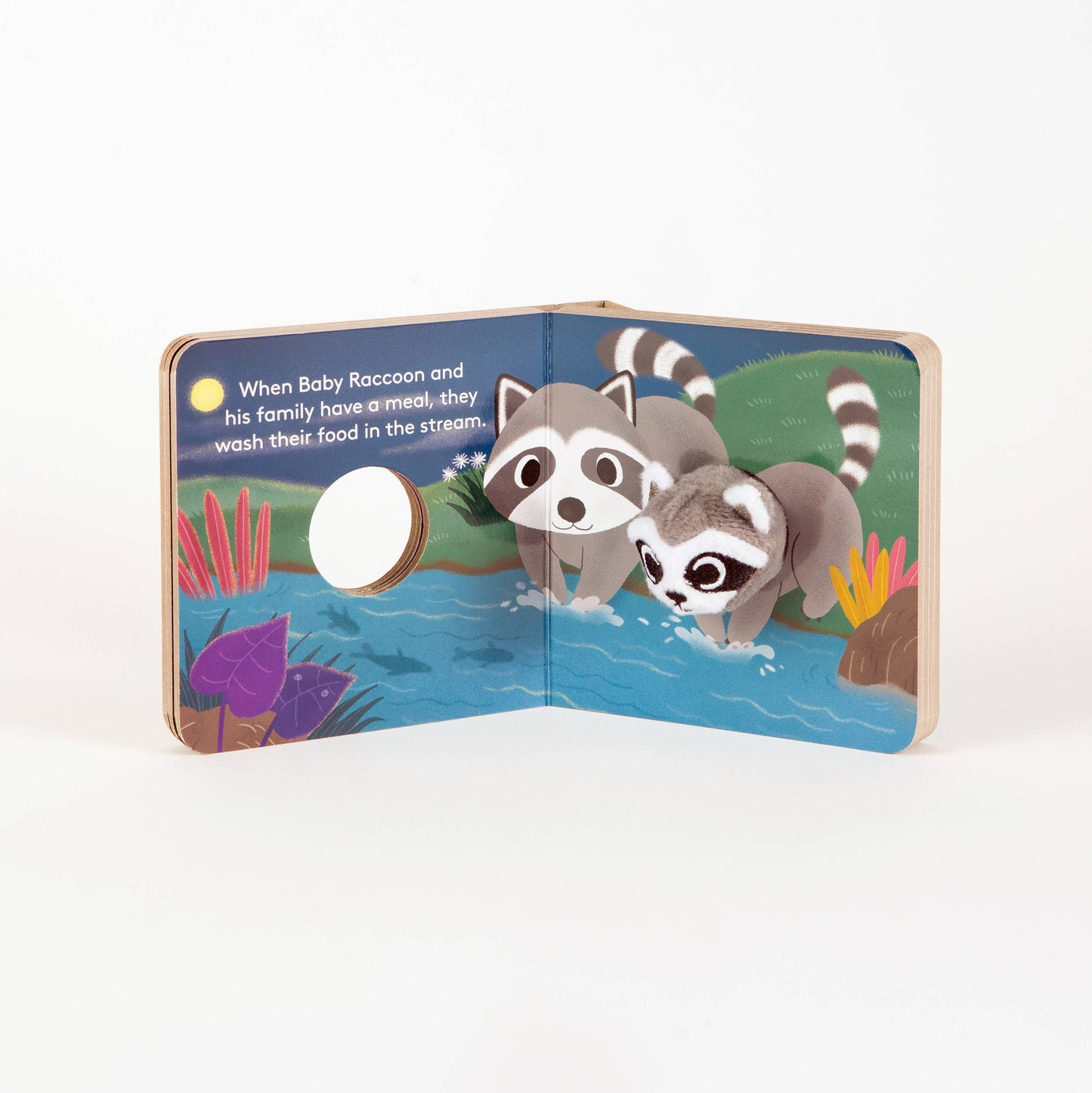 Chronicle Books - Baby Raccoon