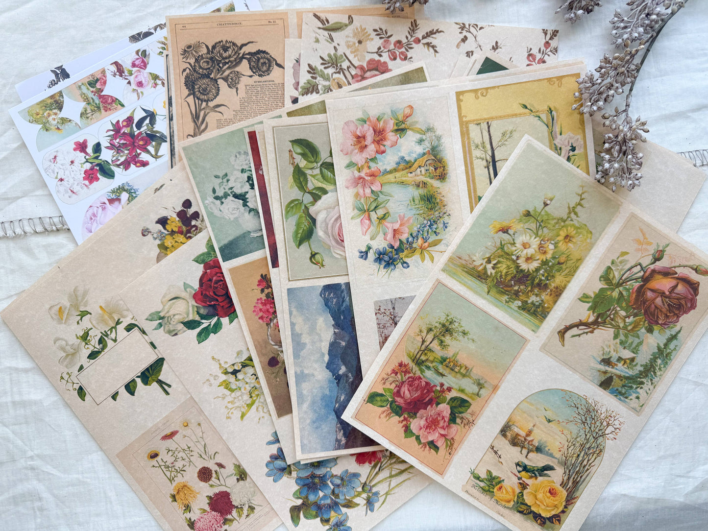 A House of Books - Junk Journal Page Pack- Floral