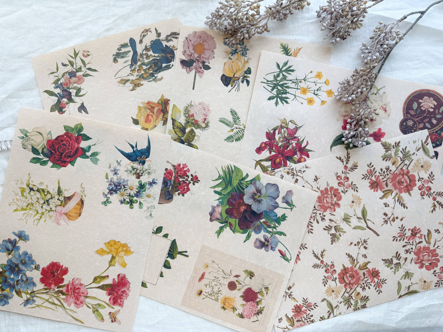 A House of Books - Junk Journal Page Pack- Floral