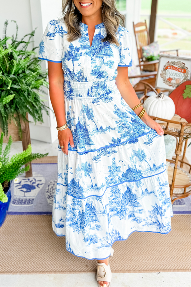 Rosa Clothing - Landscape porcelain Toile print flare maxi dress