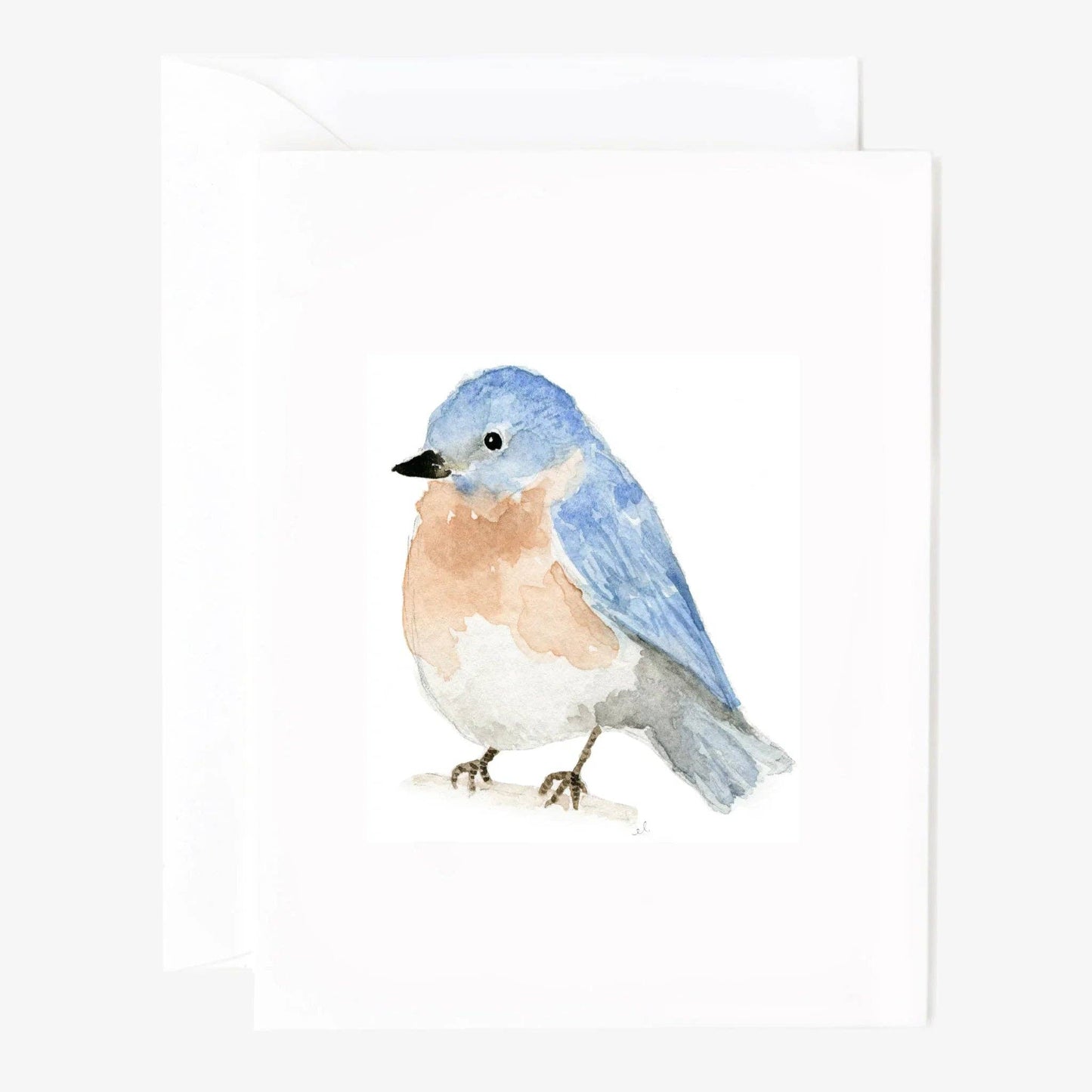 emily lex studio - Birds assorted notecard set