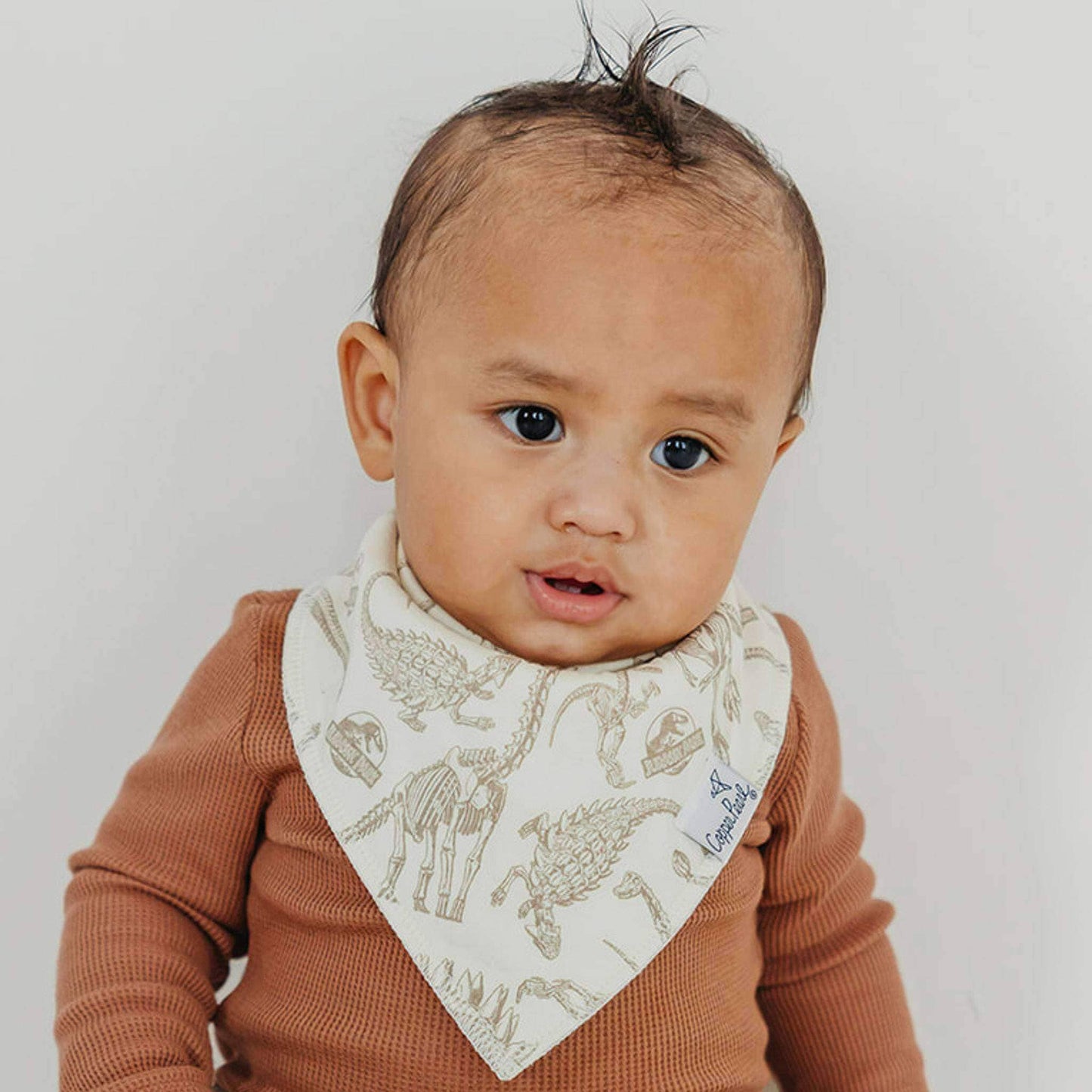 Copper Pearl - 4 Pack Baby Bandana Bibs - Jurassic Park