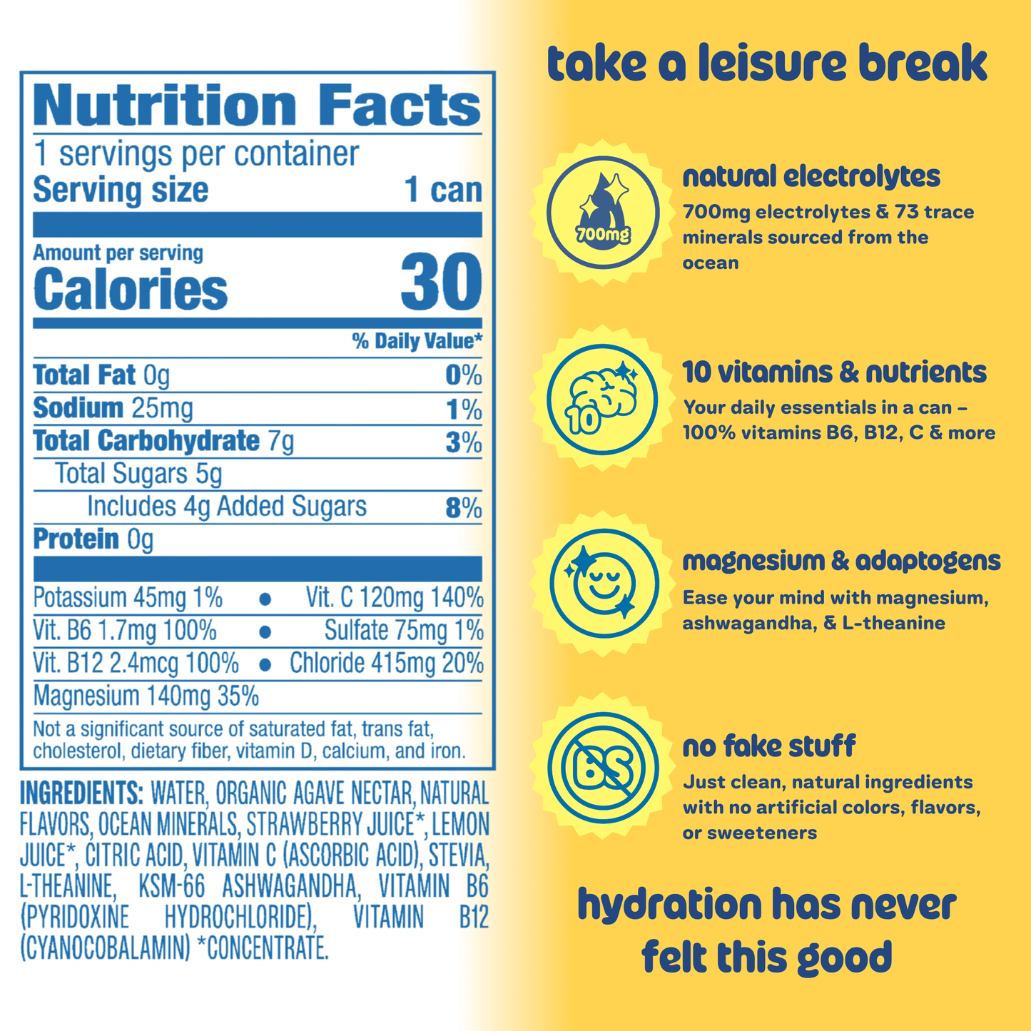 Leisure Hydration - Leisure Hydration Electrolyte Lemonade (16 oz x 12pk)