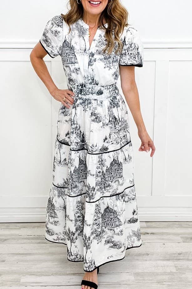 Rosa Clothing - Landscape porcelain Toile print flare maxi dress