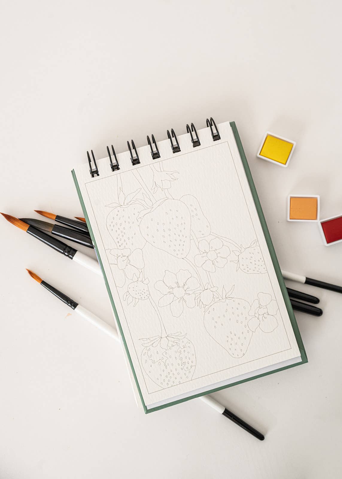 bailey rae studio - A little bit of summer - mini watercoloring book