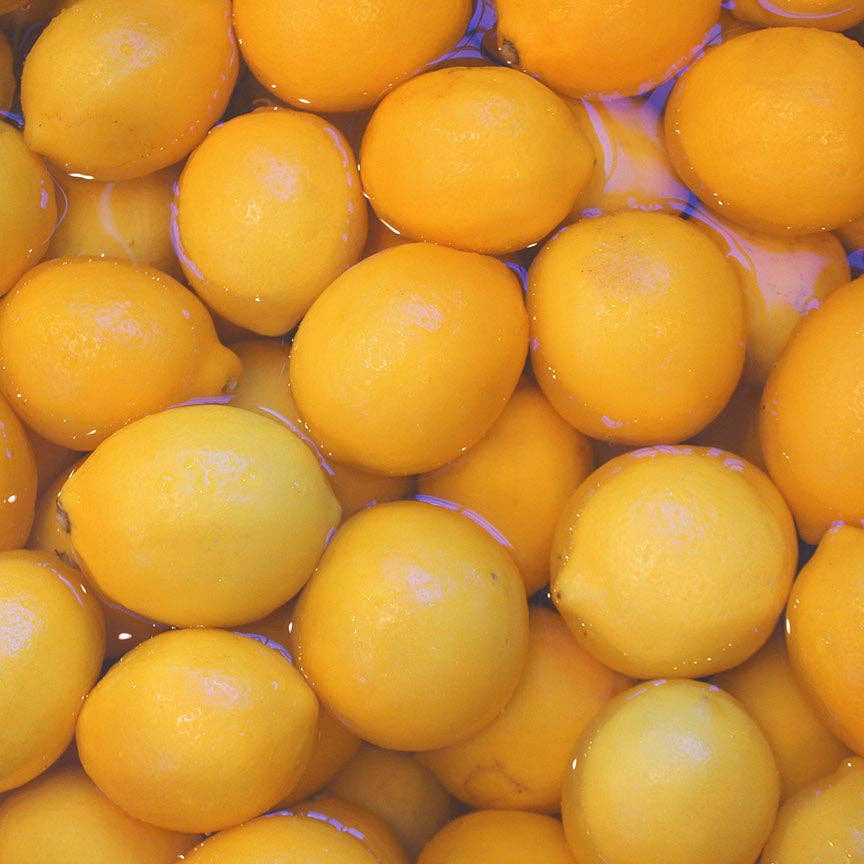 Blake Hill Preserves - Meyer Lemon with Honey Marmalade