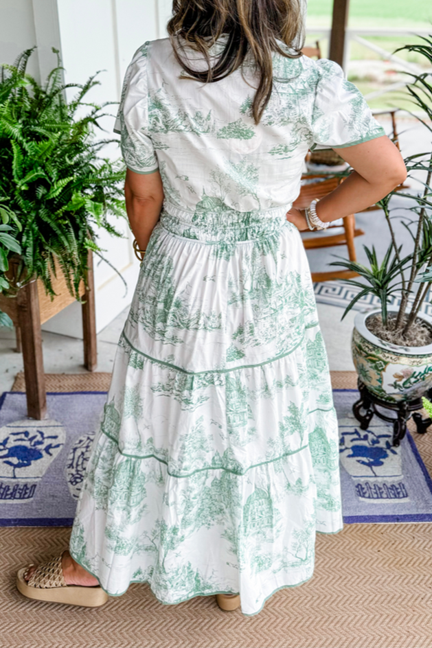 Rosa Clothing - Landscape porcelain Toile print flare maxi dress