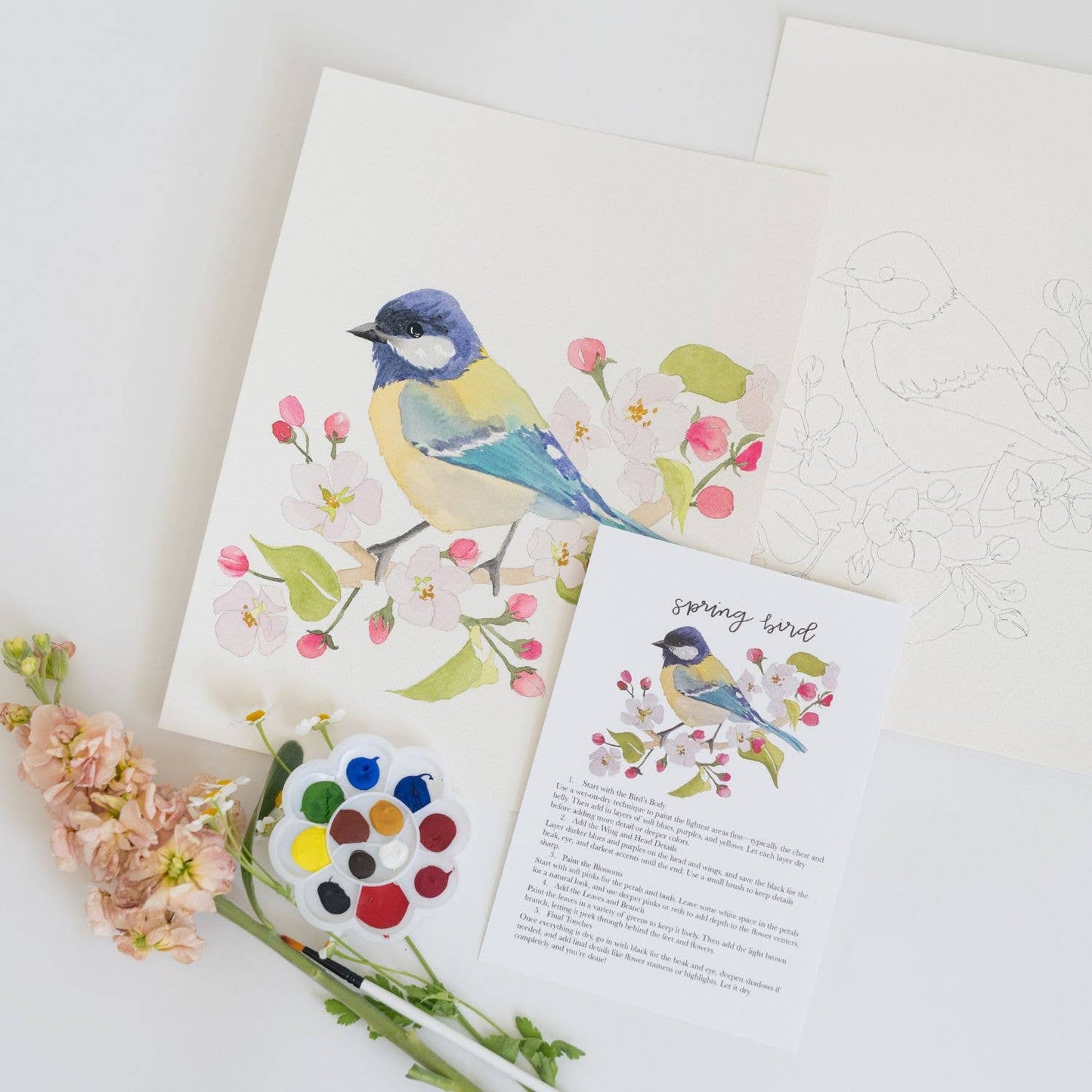 bailey rae studio - Spring bird - watercolor kit
