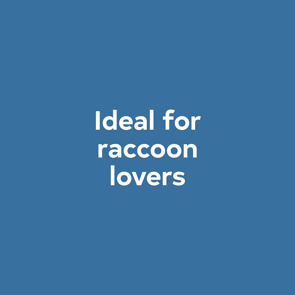 Chronicle Books - Baby Raccoon