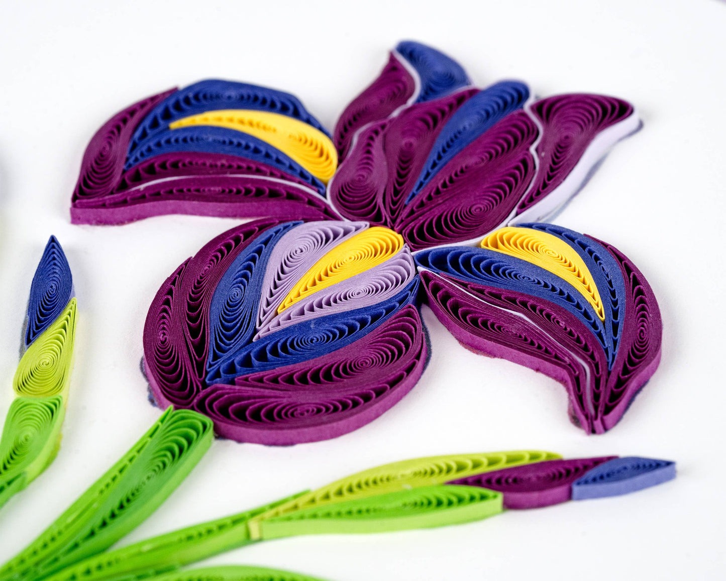 Quilling Card - Quilled Iris Greeting Card