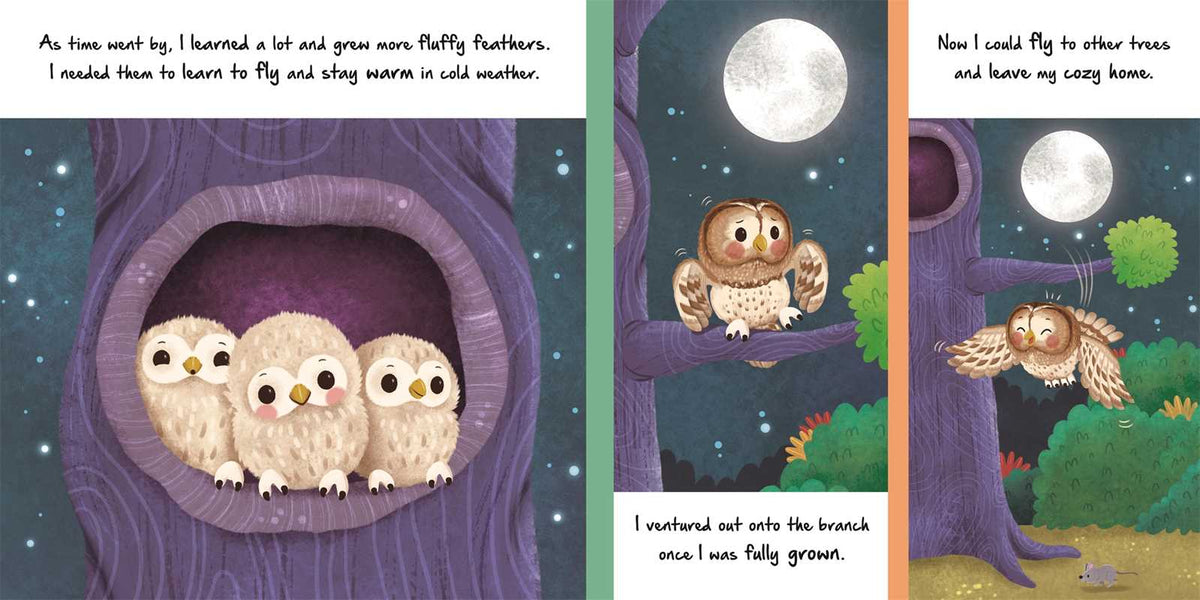 Simon & Schuster - Nature Stories: Little Owl-Discover an Amazing Story from the Natural World by IglooBooks