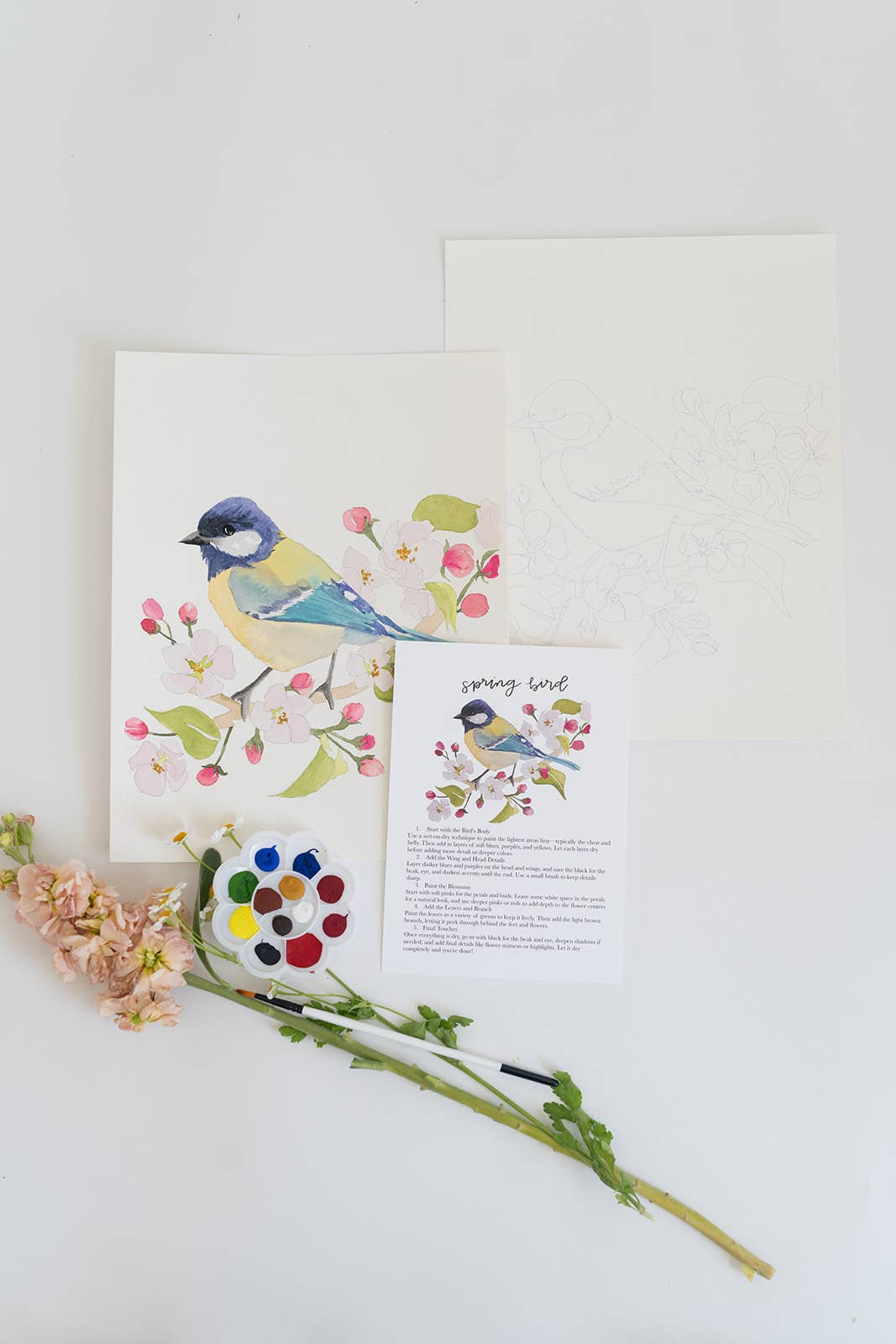 bailey rae studio - Spring bird - watercolor kit
