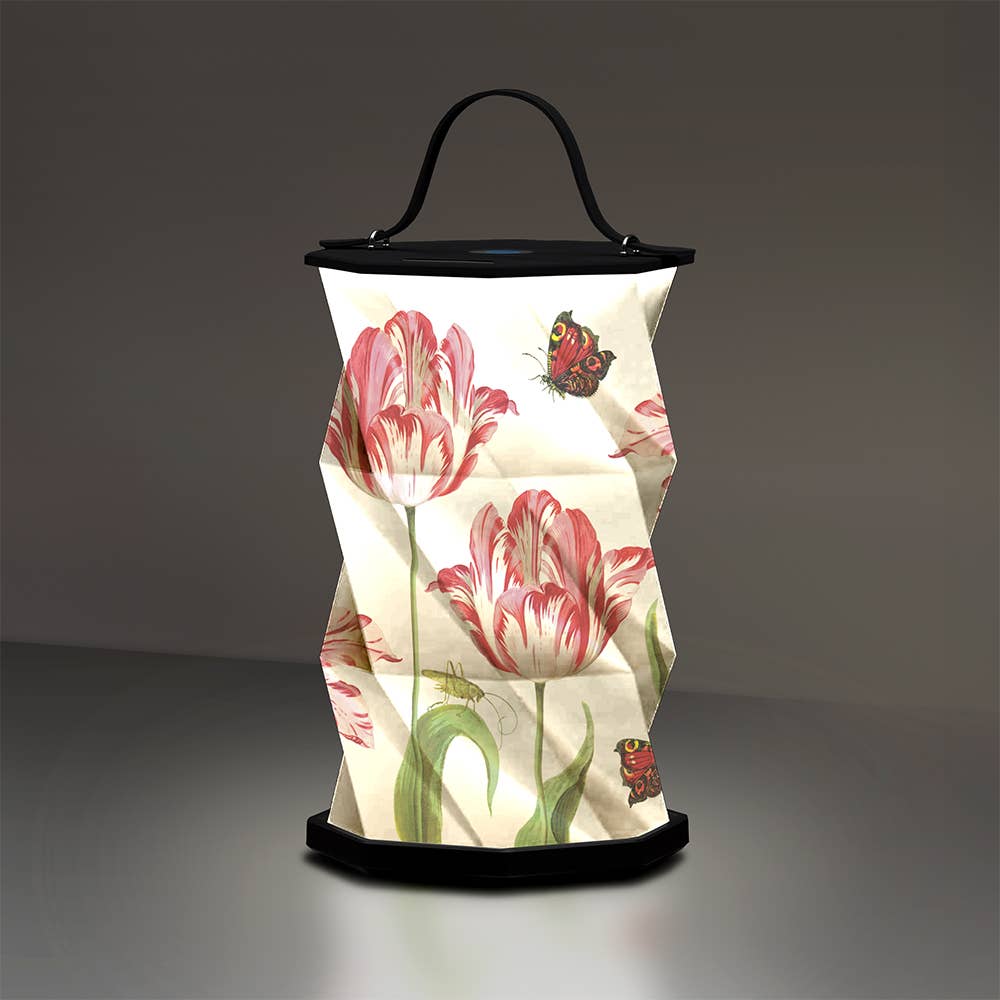 Modgy - Modgy Jacob Marrell Tulips Origami Lantern