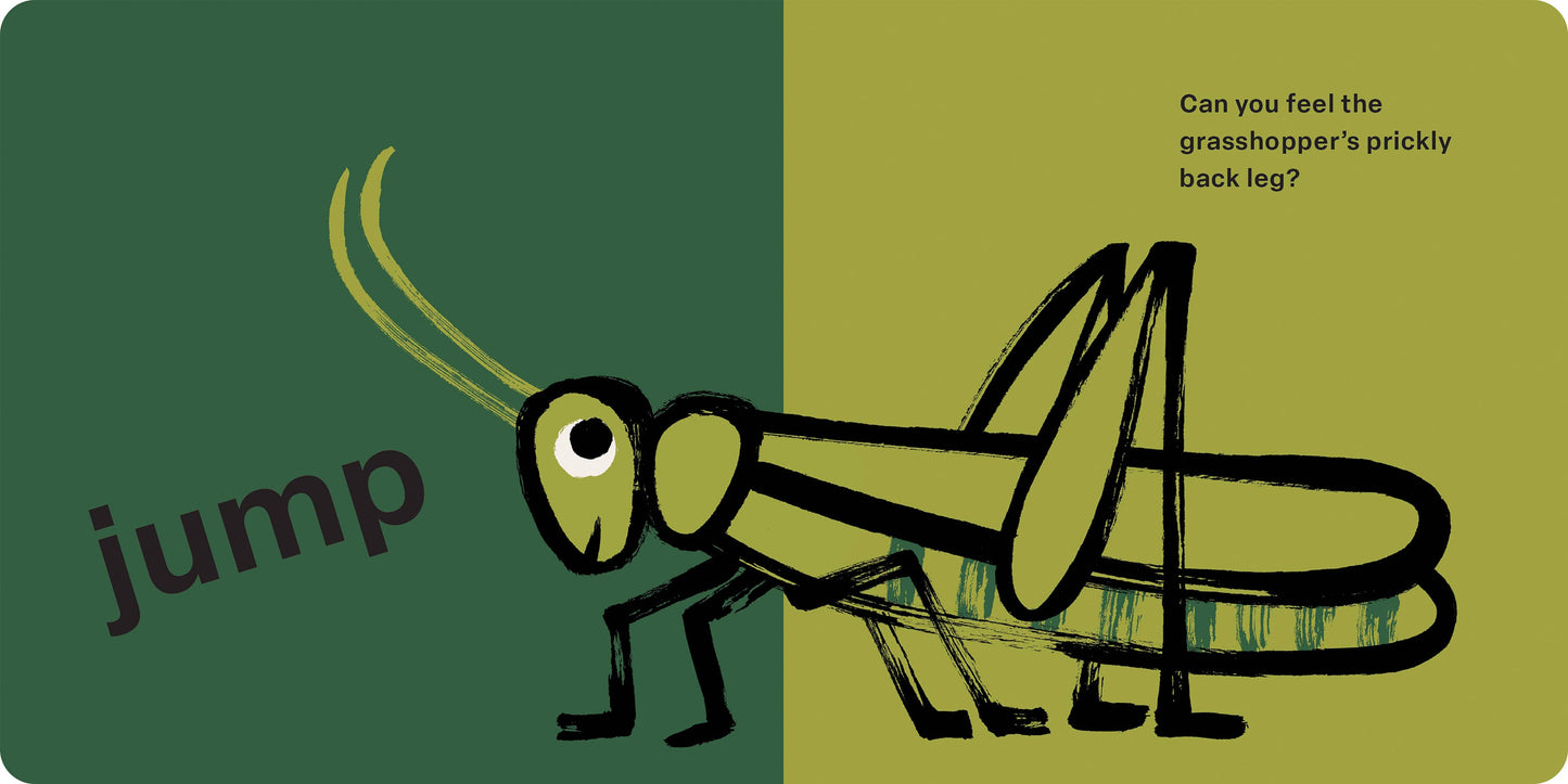 Hachette Book Group - Spring Street Touch and Feel: Bugs by Boxer Books