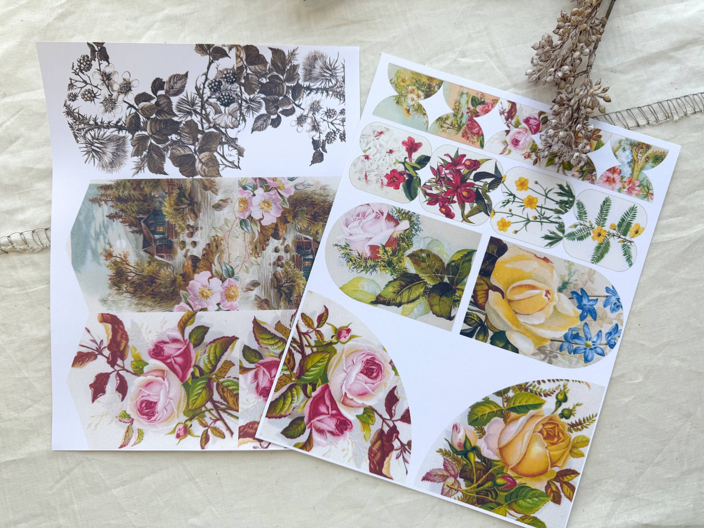 A House of Books - Junk Journal Page Pack- Floral