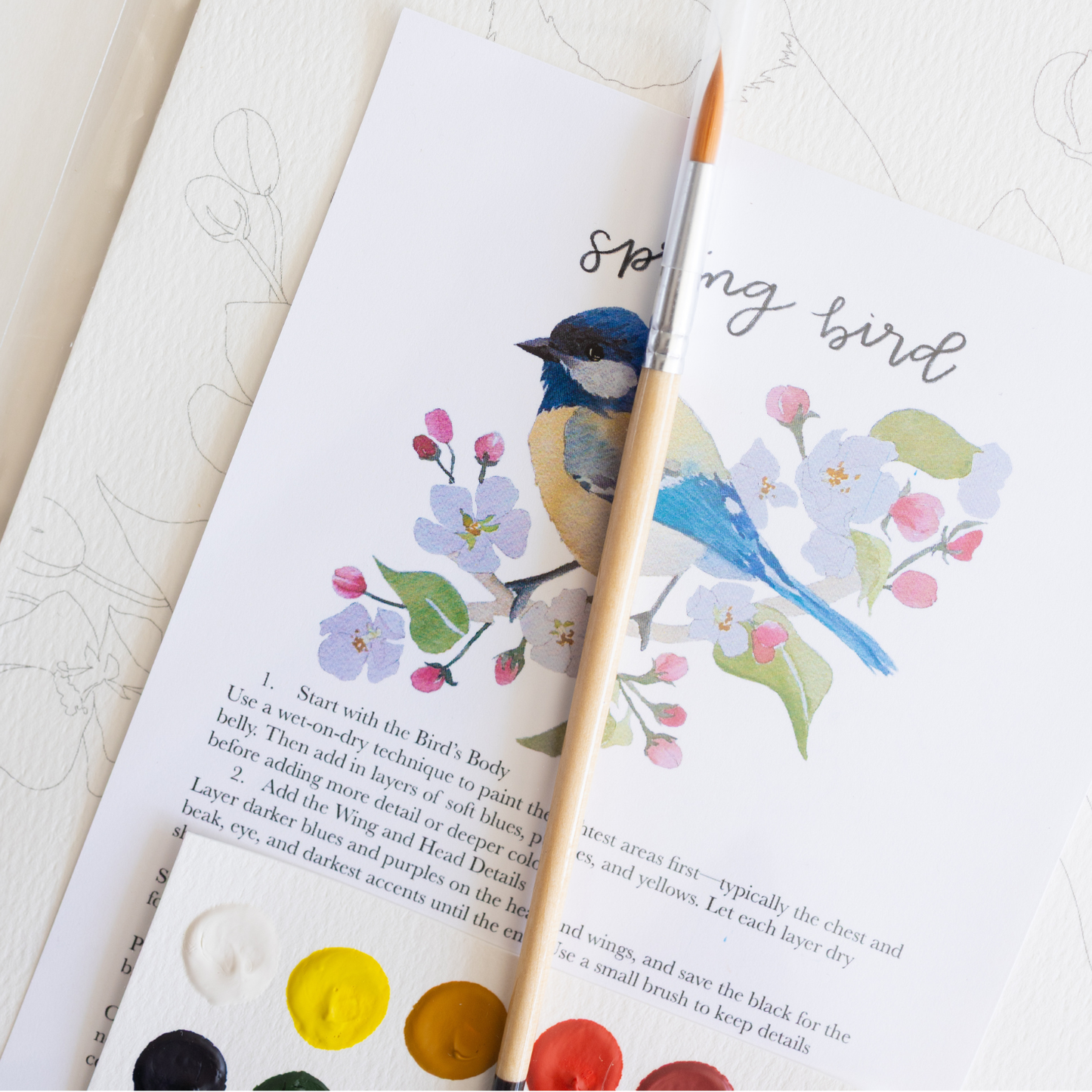 bailey rae studio - Spring bird - watercolor kit