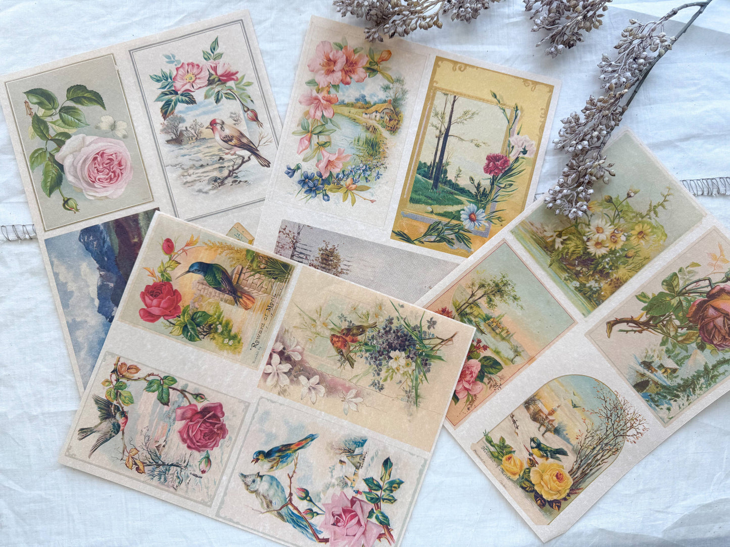 A House of Books - Junk Journal Page Pack- Floral