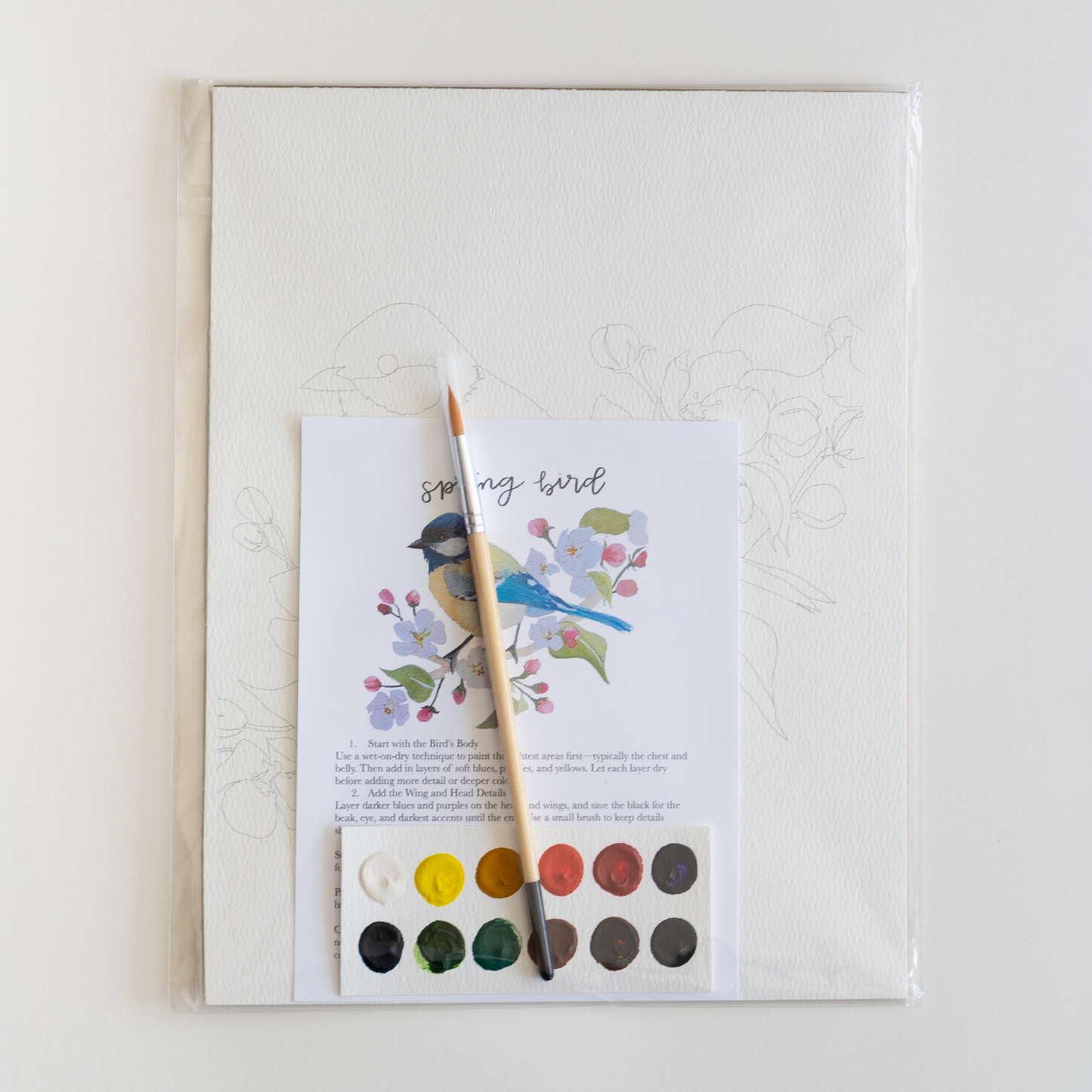 bailey rae studio - Spring bird - watercolor kit