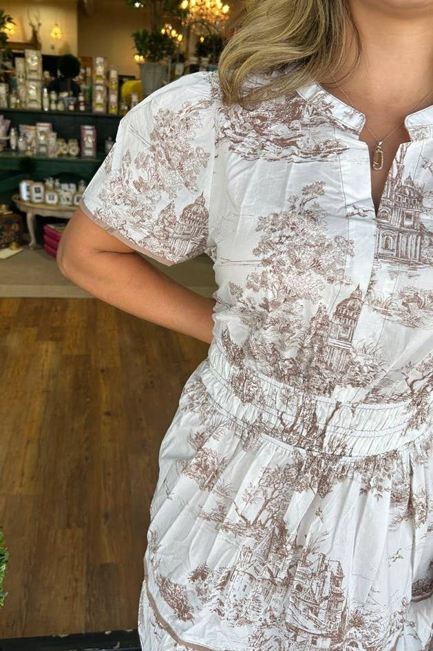 Rosa Clothing - Landscape porcelain Toile print flare maxi dress
