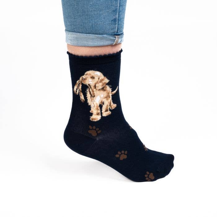 Wrendale Designs - Dog Sock - Hopeful - Navy