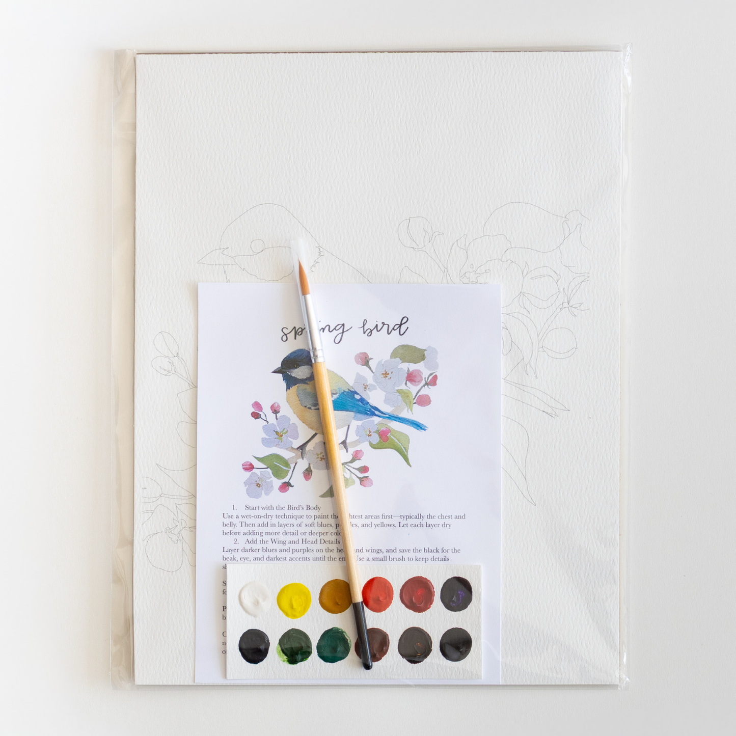 bailey rae studio - Spring bird - watercolor kit