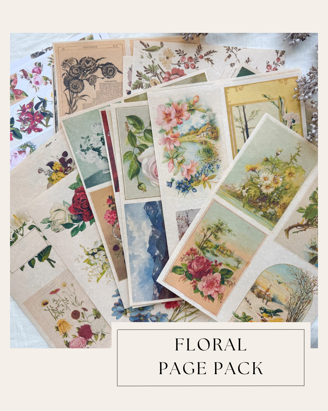A House of Books - Junk Journal Page Pack- Floral