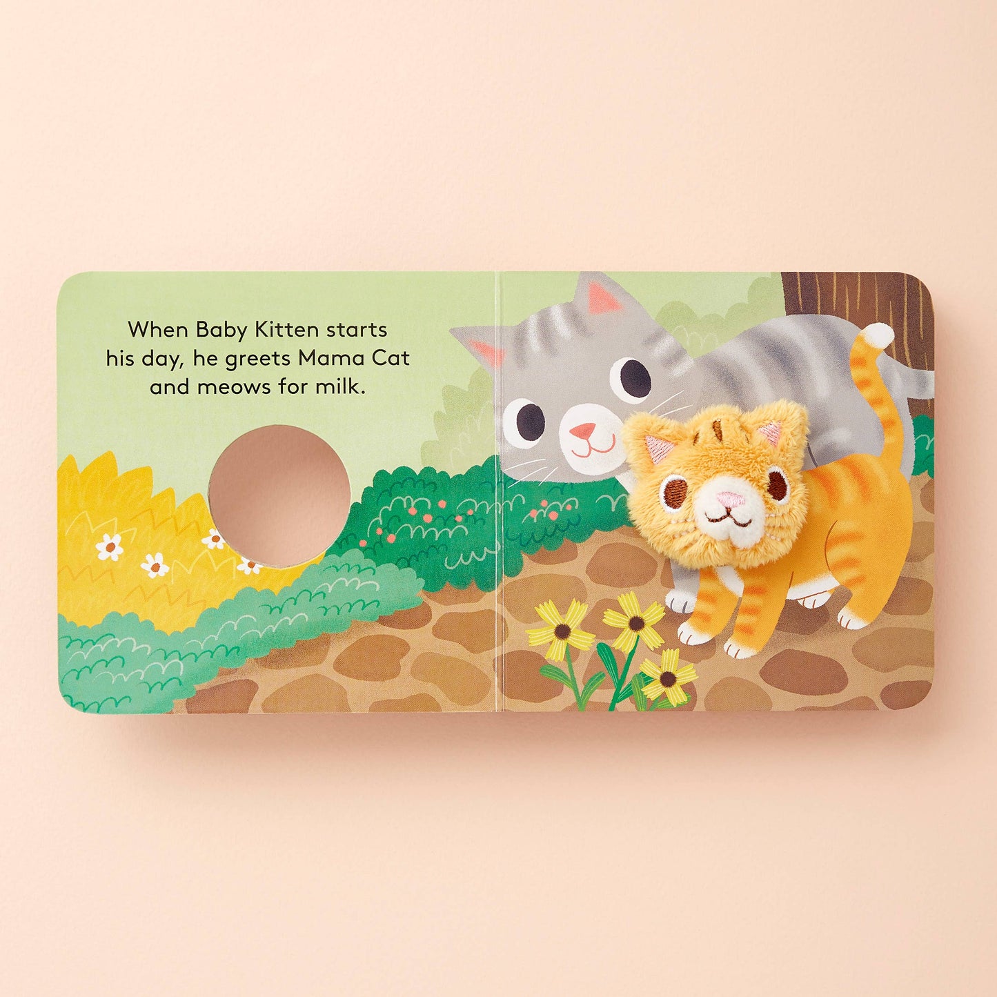 Chronicle Books - Baby Kitten
