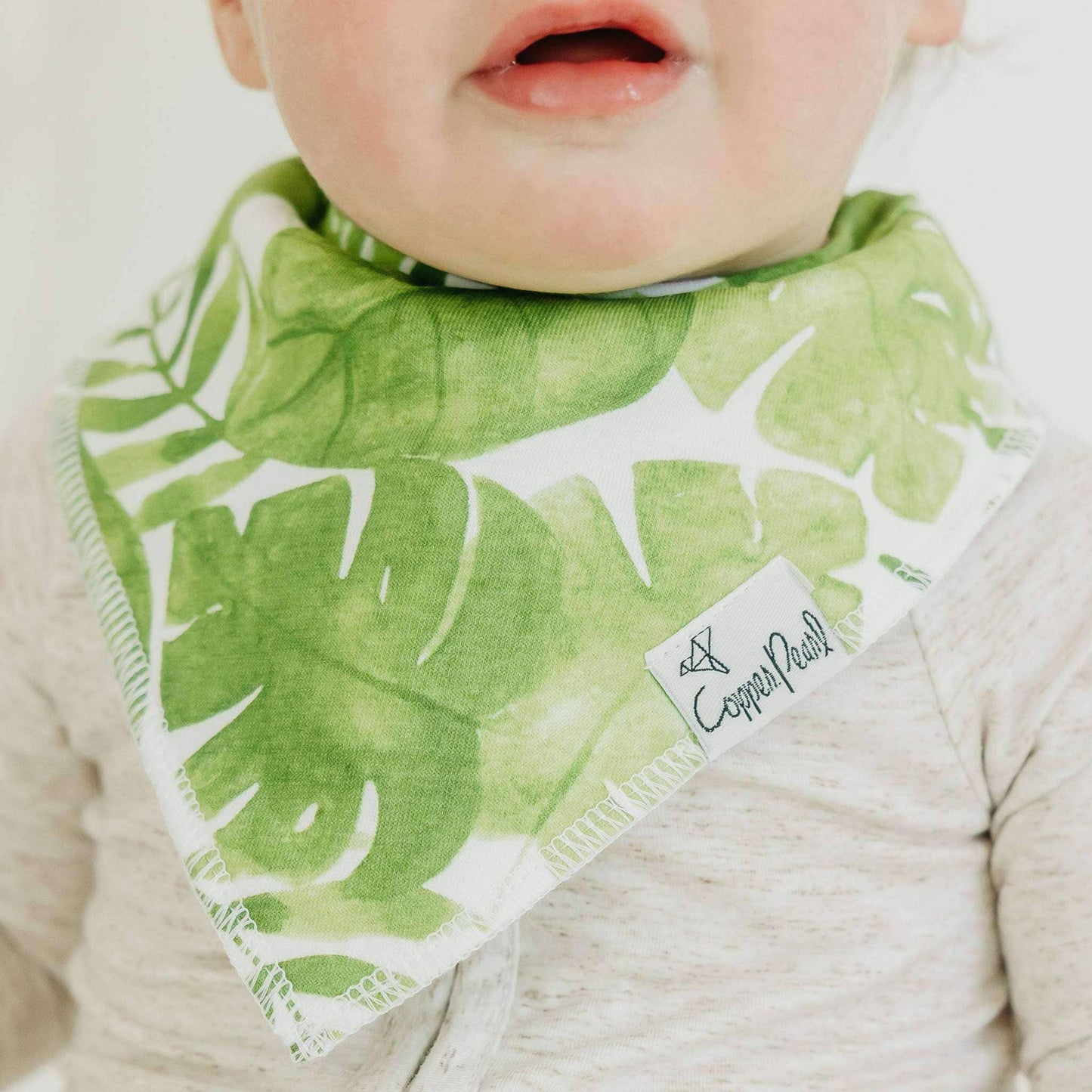 Copper Pearl - 4 Pack Baby Bandana Bibs - Noah