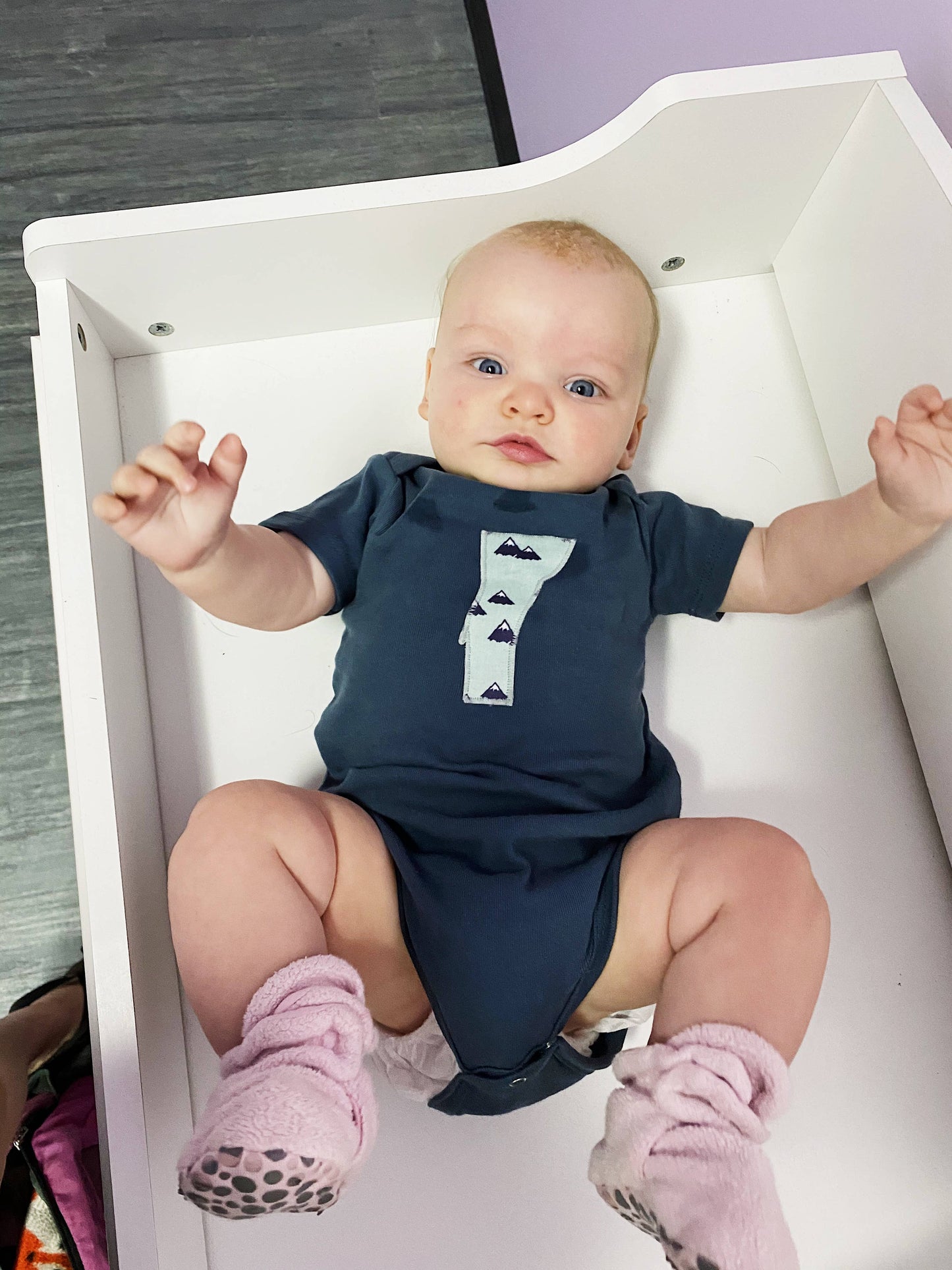 Vermont Tribe - Vermont Baby Bodysuit - Organic Mountains