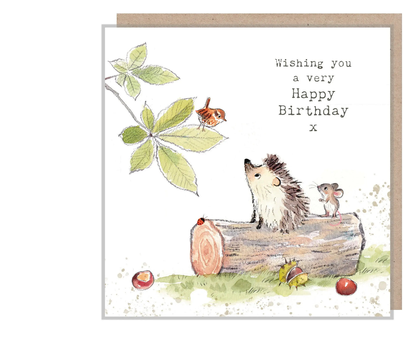 Paper Shed Design Ltd - Cute Hedgehog Card - Wishing You A Very Happy Birthday